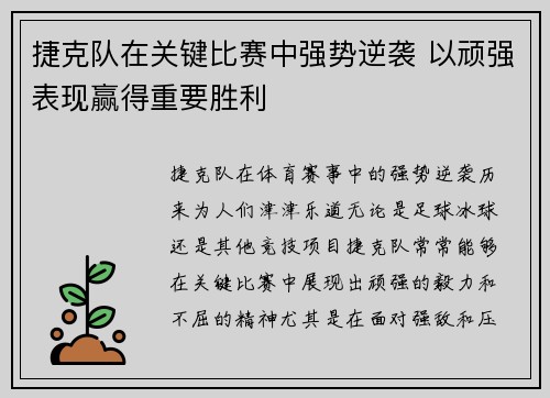 捷克队在关键比赛中强势逆袭 以顽强表现赢得重要胜利
